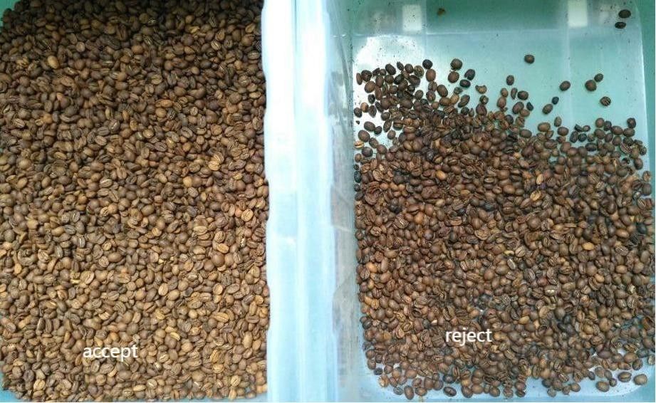 Wenyao 1 Chute 500kg/h Separador de color de CCD de alto rendimiento Granos de café tostados Máquina de clasificación de color Granos verdes