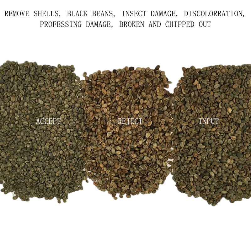Clasificador verde del color de 128 de los canales granos de café para Cherry Separating