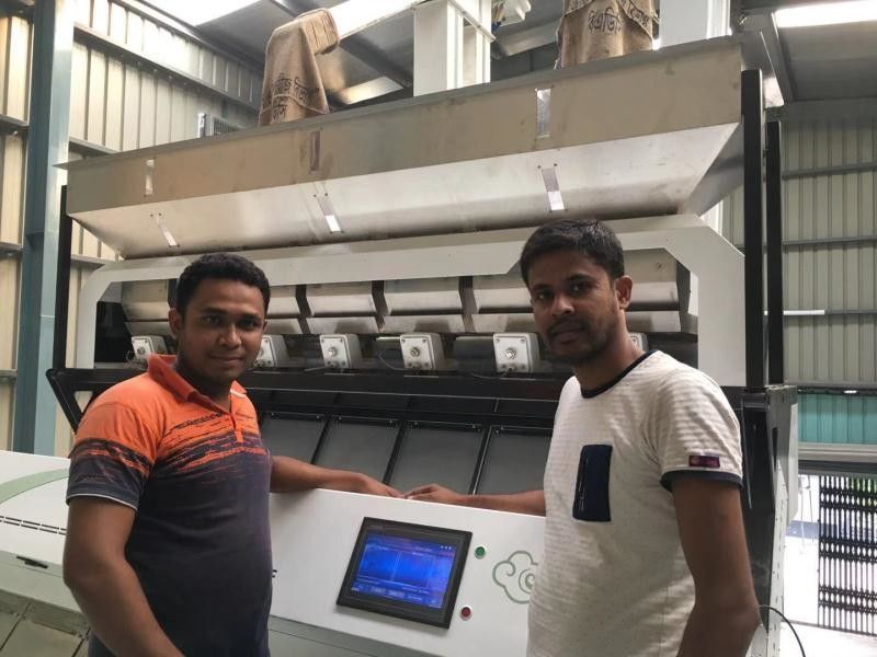 Máquina del clasificador del color de la semilla de 7 canales inclinados para la línea de transformación del cardamomo