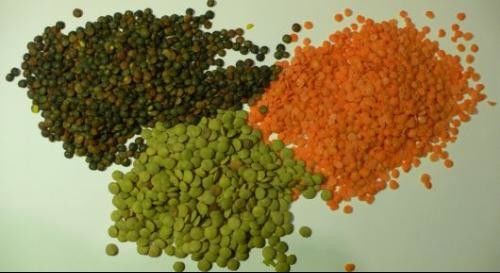 Clasificador Dal Sorter Machine del color de la lenteja de la clasificadora del color de la lenteja