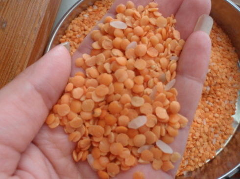 Clasificador Dal Sorter Machine del color de la lenteja de la clasificadora del color de la lenteja