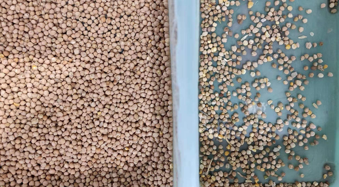 las habas 800kg/H colorean el clasificador con la cámara CCD de alta resolución de 5400 pixeles