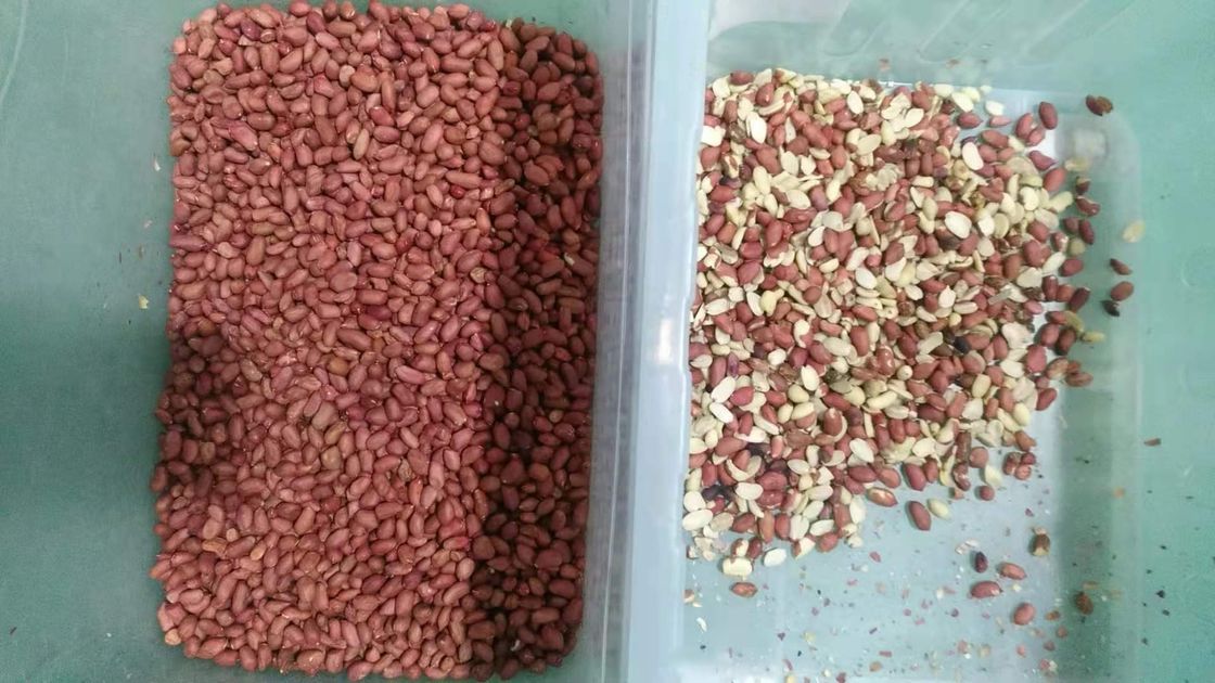 CCD automático del clasificador del color de 7 nueces de los canales inclinados con Wifi teledirigido
