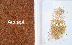 Clasificadora de 192 canales del CCD del color óptico del arroz para el molino de arroz