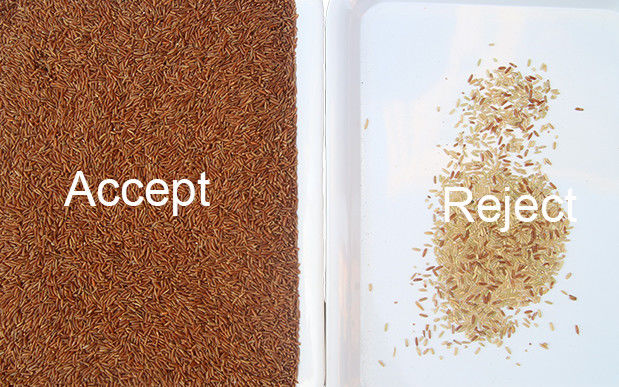 3 canales inclinados 192 canalizan el clasificador del color del arroz conveniente para la planta de arroz