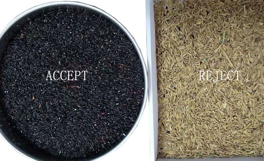 Clasificador cocido a medias sensor del color del arroz del CCD con captura de la proyección de imagen de Toshiba HD