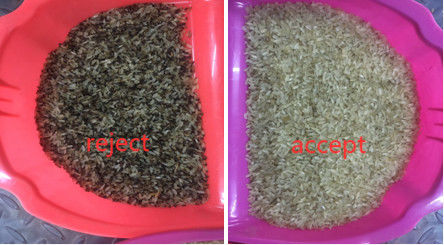 Clasificador cocido a medias sensor del color del arroz del CCD con captura de la proyección de imagen de Toshiba HD