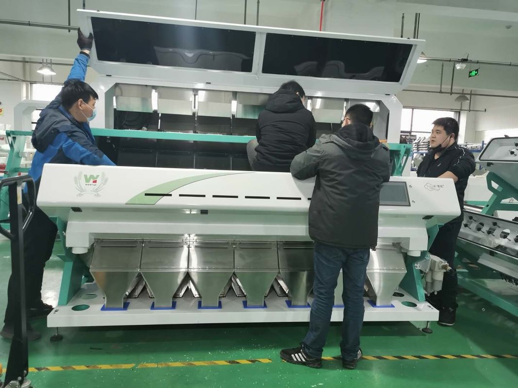 Clasificador multifuncional del color de 7 canales inclinados para la clasificación del cardamomo