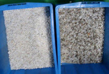 Clasificador del color de la baritina del cuarzo del clasificador del color del mineral con la capacidad 2 Tons/H