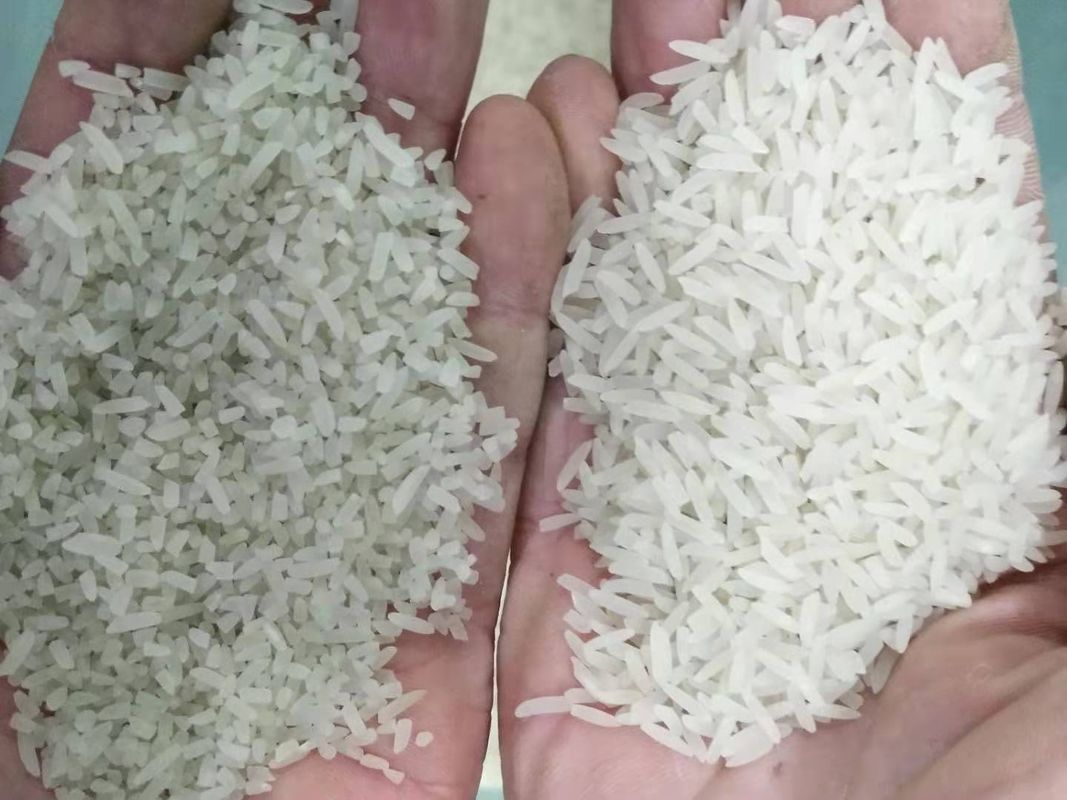 Clasificadora del color del arroz de 32 Channnels Mini Rice Color Sorter Machine ampliamente utilizada en el mercado de Indonesia
