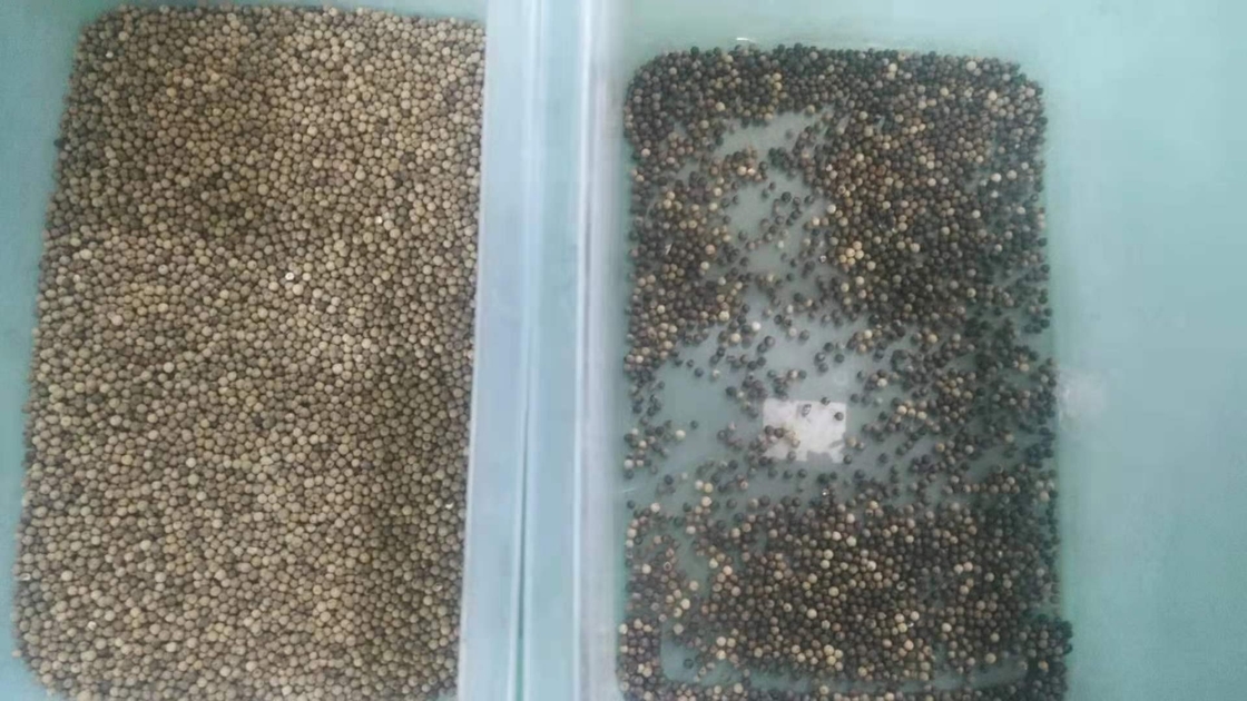 CCD automático multifuncional del clasificador del color del arroz del sésamo del trigo de la quinoa del maíz óptico