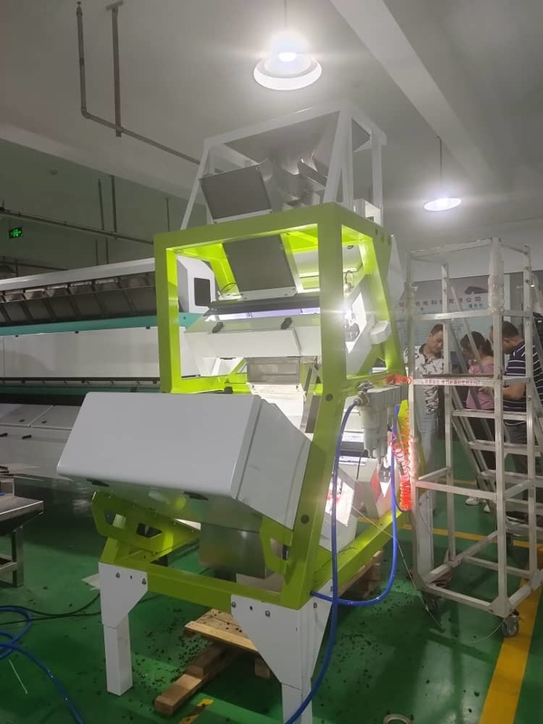 Máquina de WENYAO Flower Tea Color Sorter para la selección amarilla de los palillos