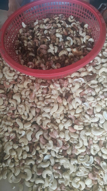 Clasificadora del color de Mini Cashew Color Sorter Cashew con 2 cámaras del RGB 32 canales