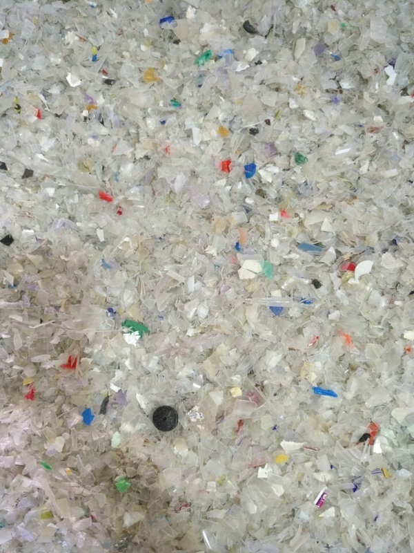 Plástico el color del ANIMAL DOMÉSTICO de Wenyao clasificadora 7 canales inclinados 448 canales