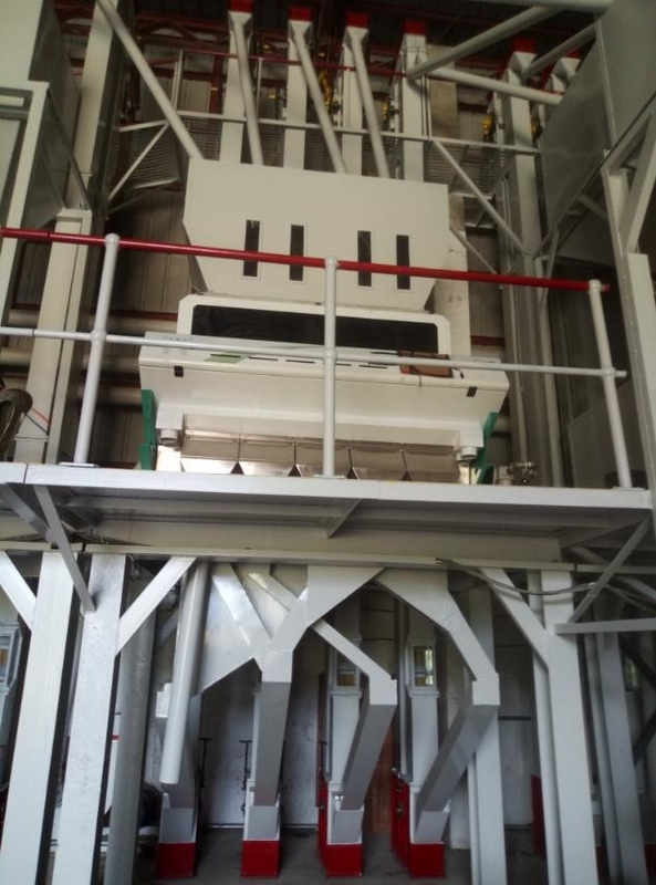 Escaramujo Berry Mustard Seed Color Sorter cinco canales inclinados