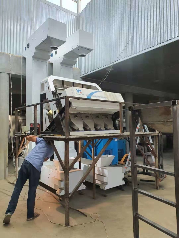 Servicio teledirigido de Bean Color Sorter With Wifi del café de cuatro canales inclinados