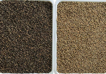 CCD automático multifuncional del clasificador del color del arroz del sésamo del trigo de la quinoa del maíz óptico