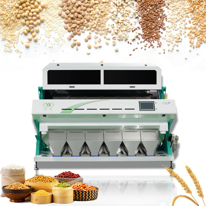 Clasificador del color de Bean Color Sorting Machine Bean de 6 canales inclinados
