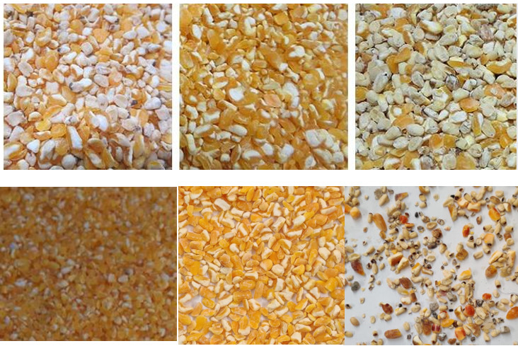 El grano del maíz del CCD de 5400 pixeles colorea el polvo de la clasificadora que limpia 6T/H