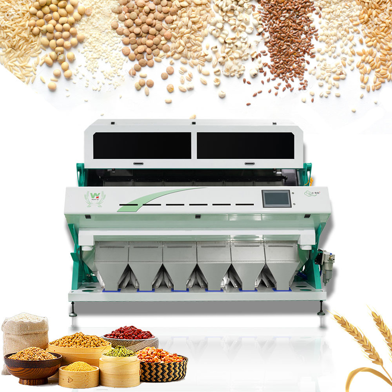 Clasificador óptico de alto rendimiento del color del CCD para el grano del trigo del maíz del arroz