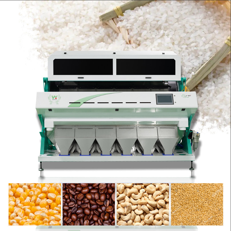 Clasificador óptico de alto rendimiento del color del CCD para el grano del trigo del maíz del arroz