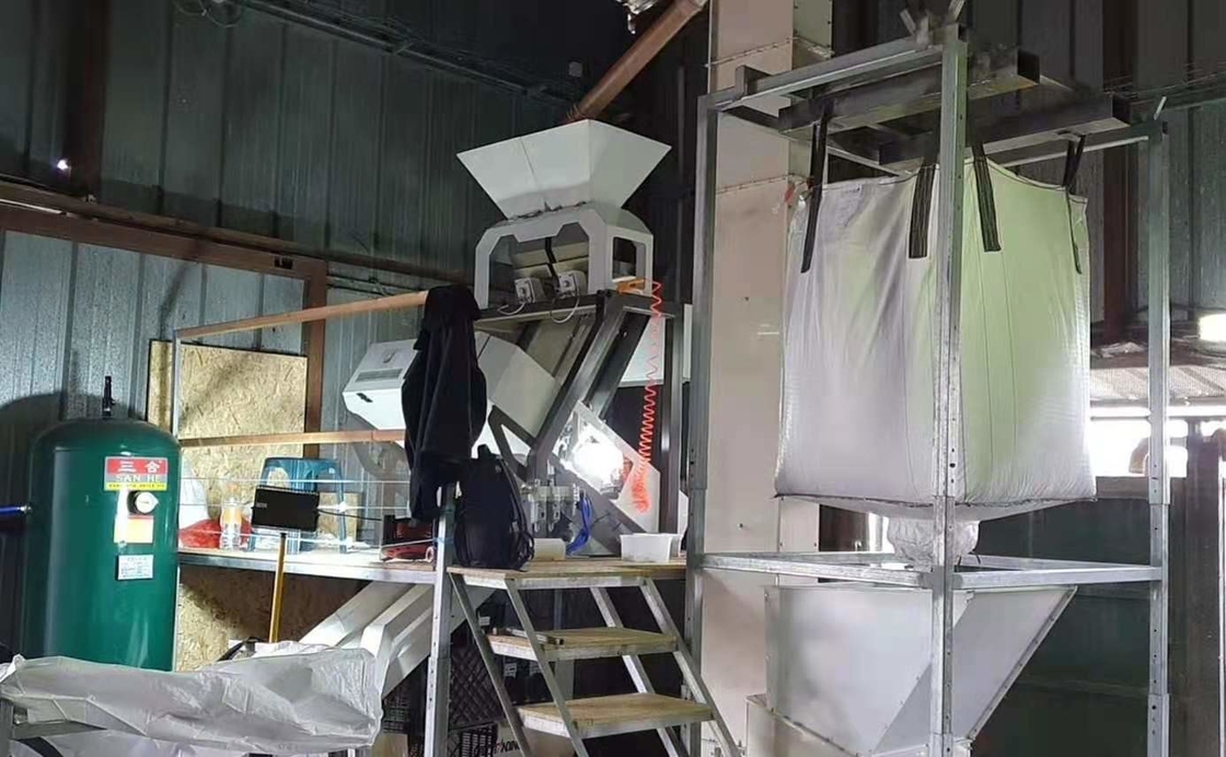 La nuez de macadamia siembra los canales inclinados de Bean Grain Color Sorting Machine 1 64 canales