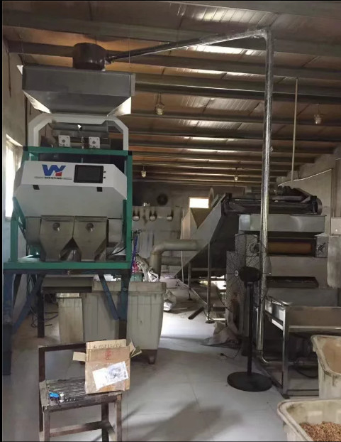 La nuez de macadamia siembra los canales inclinados de Bean Grain Color Sorting Machine 1 64 canales