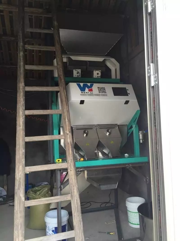 Las nueces inteligentes siembran habas de la lenteja del cacahuete colorean la computación del auto del clasificador