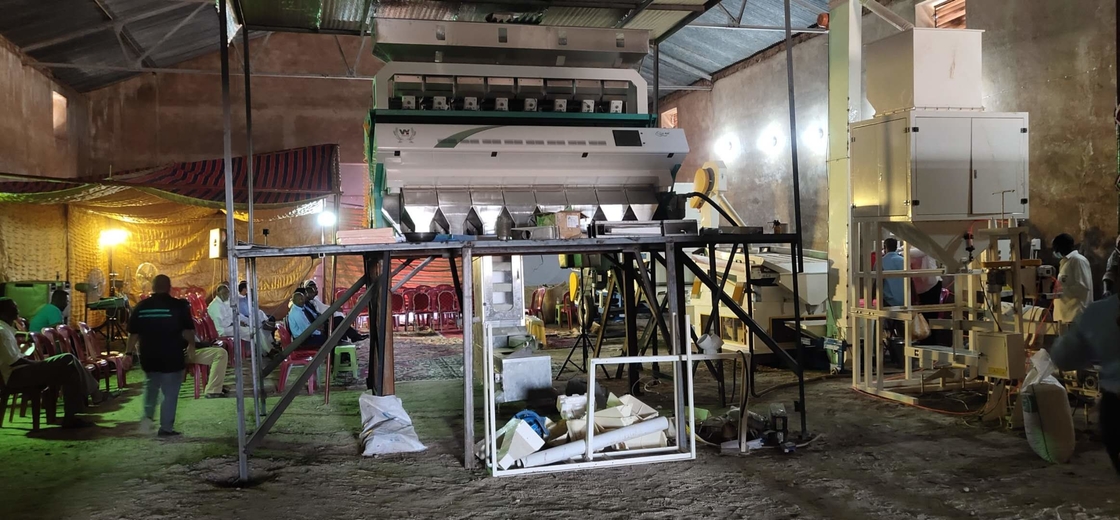 Producción óptica de la clasificadora 5000kg/H del color de la cámara del Rgb de las lentejas de la soja de Dall