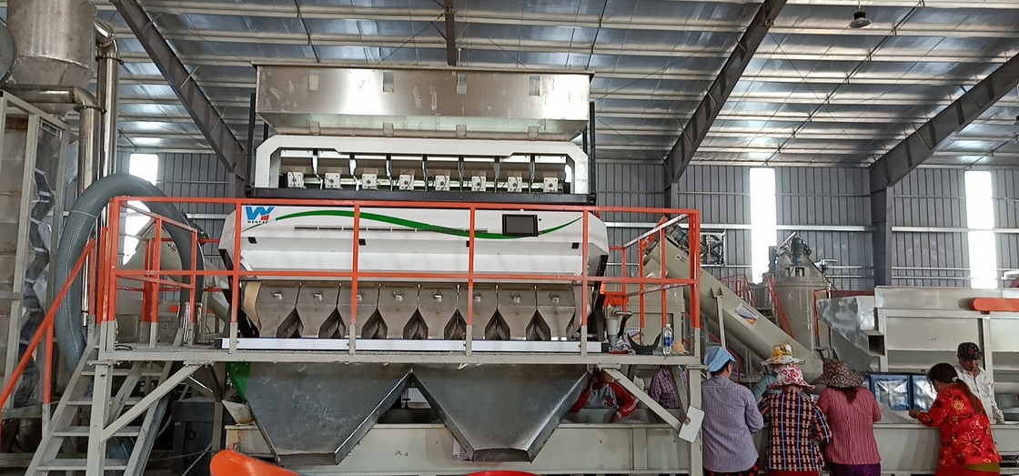 Clasificador óptico del color del grano para los canales del separador 512 del graduador del trigo