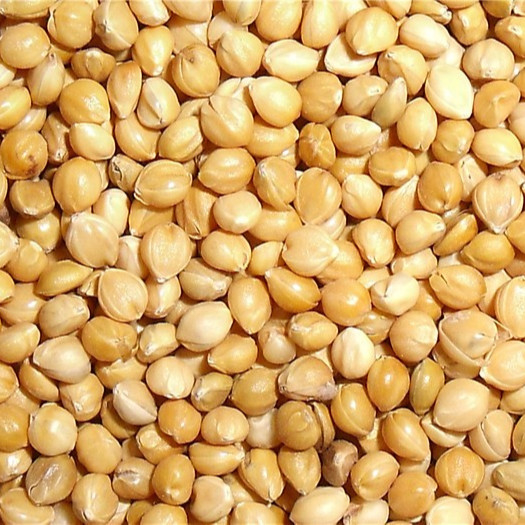 Alta capacidad Mini Millet Color Sorter Machine del CCD para la planta del molino de arroz