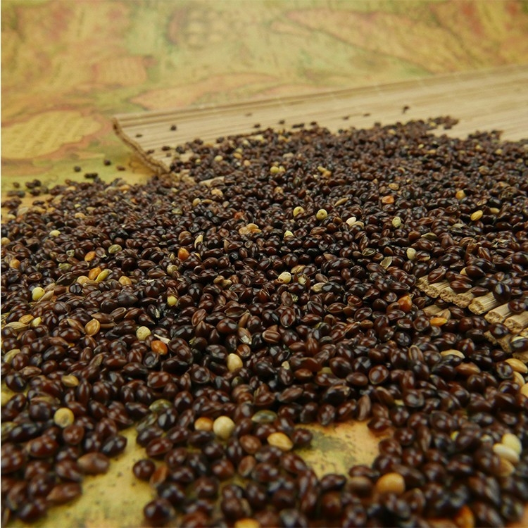 Café automático Bean Color Sorter Machine For que clasifica habas