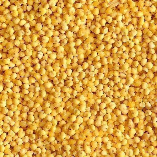 Clasificadora de Wenyao Top Quality Millet Color popular en los Estados Unidos