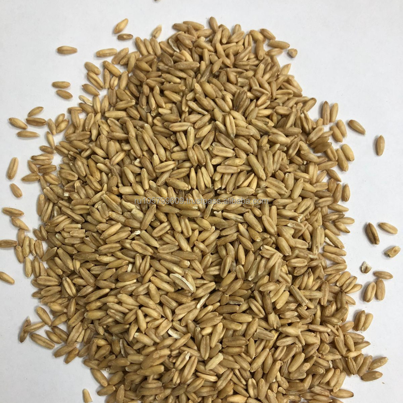 Clasificadora del color de la avena del grano para el trigo de la cebada
