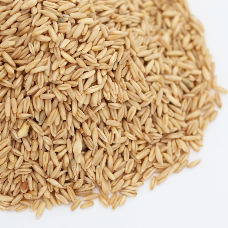 La máquina 7 del clasificador del color del trigo de la avena canaliza 2 años de garantía