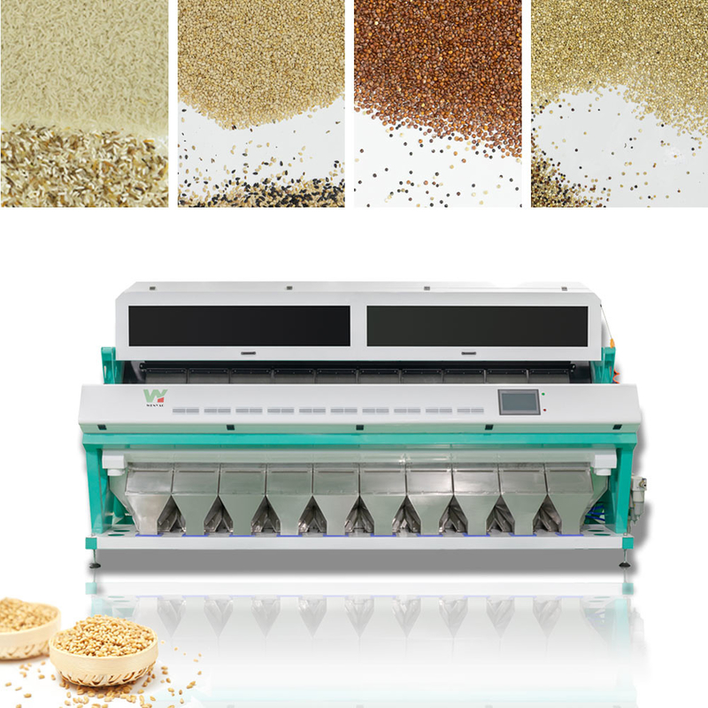 Clasificador inteligente autoalimentador 10t/h del color del trigo de la quinoa