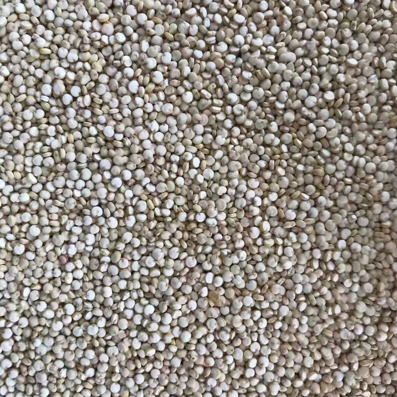 Canal inclinado de la máquina 1 del clasificador del color del trigo de la quinoa del CCD del LED pequeño