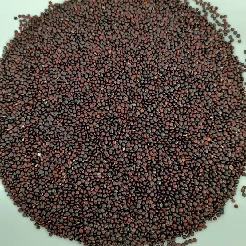 Canal inclinado de la máquina 1 del clasificador del color del trigo de la quinoa del CCD del LED pequeño