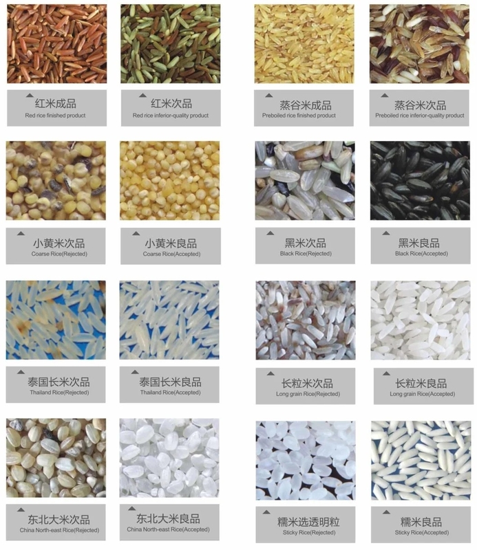 Wenyao 1 canaliza el clasificador óptico multifuncional inteligente del RGB de la clasificadora del color del CCD del clasificador del color del arroz