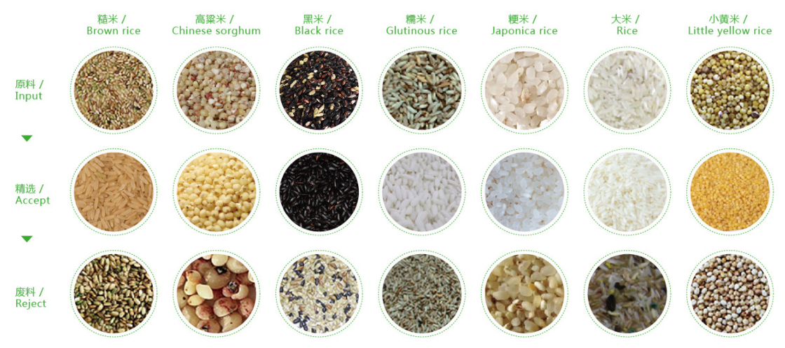 Clasificadora del color del cereal de la nuez del sésamo del arroz del CCD de WENYAO Color Sorter Optical