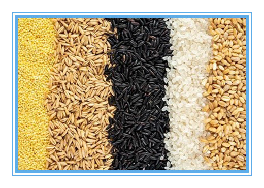 Máquina del separador del color de maíz del grano de una capacidad más grande con las luces LED del CCD calientes en el Brasil
