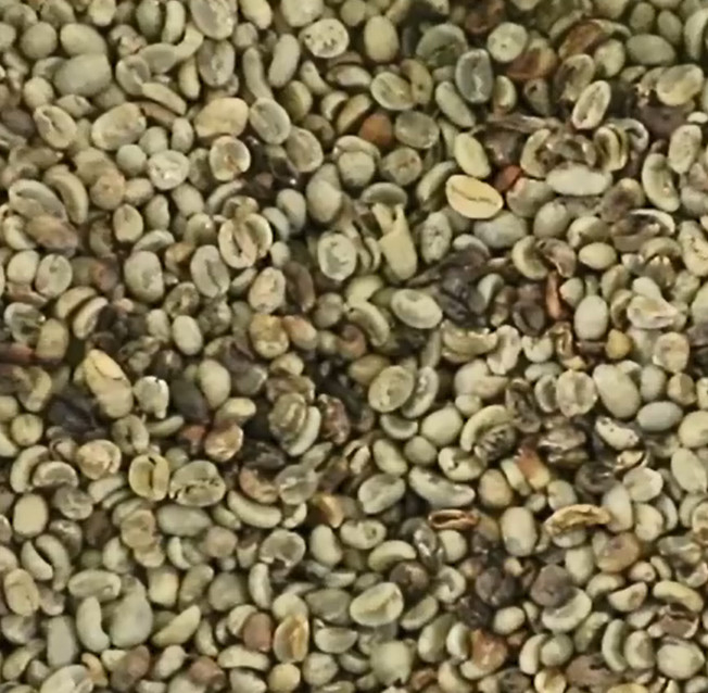 Máquina automática agrícola del clasificador del color del grano de China caliente en los Estados Unidos