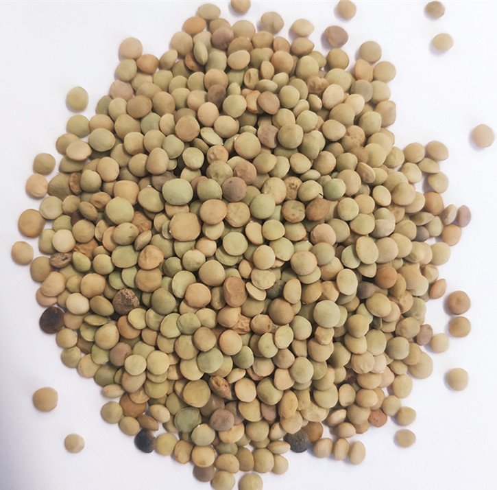 Máquina automática agrícola del clasificador del color del grano de China caliente en los Estados Unidos