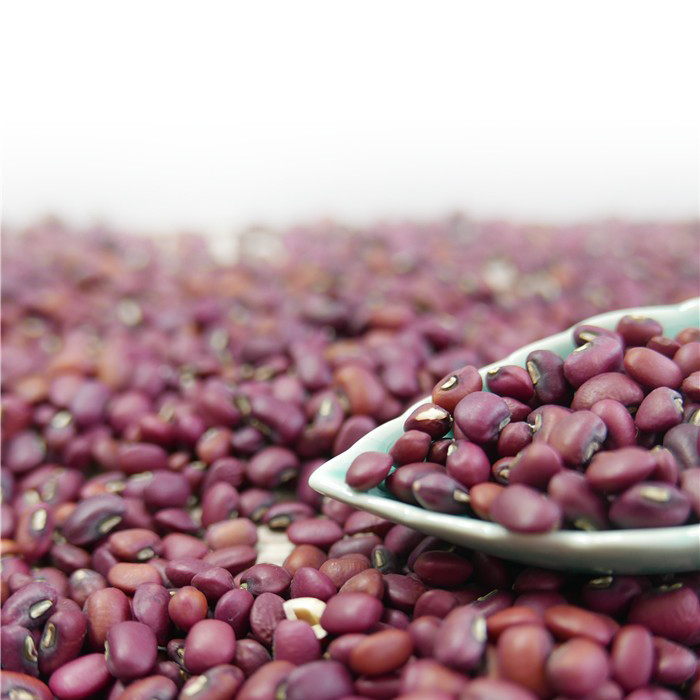 Máquina 1 Ton Per Day de Mini Red Beans Color Sorter de la venta al por mayor de la fábrica de China
