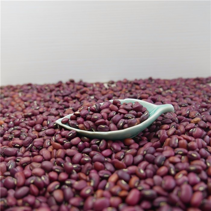 Máquina 1 Ton Per Day de Mini Red Beans Color Sorter de la venta al por mayor de la fábrica de China