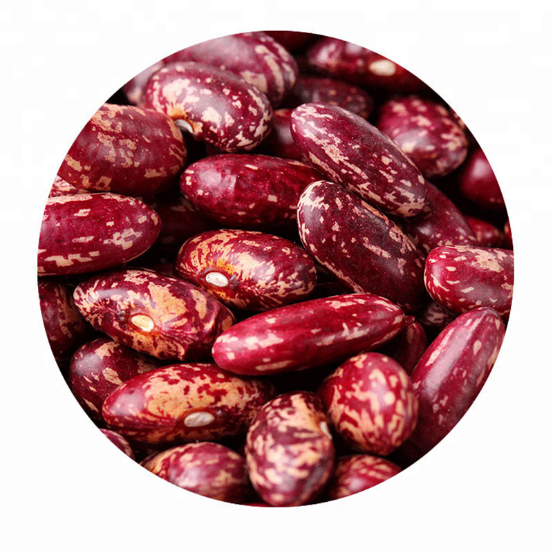 Clasificadora roja de las habas de riñón del precio bajo del proveedor de la calidad de la fábrica caliente en el Brasil