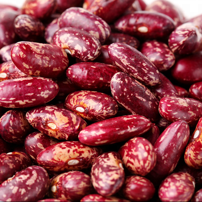 Clasificadora roja de las habas de riñón del precio bajo del proveedor de la calidad de la fábrica caliente en el Brasil