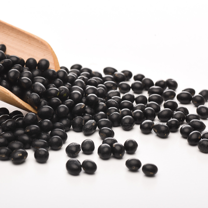 Las habas de riñón negras de acero inoxidables del consumo bajo colorean la planta de las tierras de labrantío de la máquina del clasificador