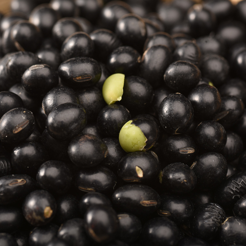 Las habas de riñón negras de acero inoxidables del consumo bajo colorean la planta de las tierras de labrantío de la máquina del clasificador