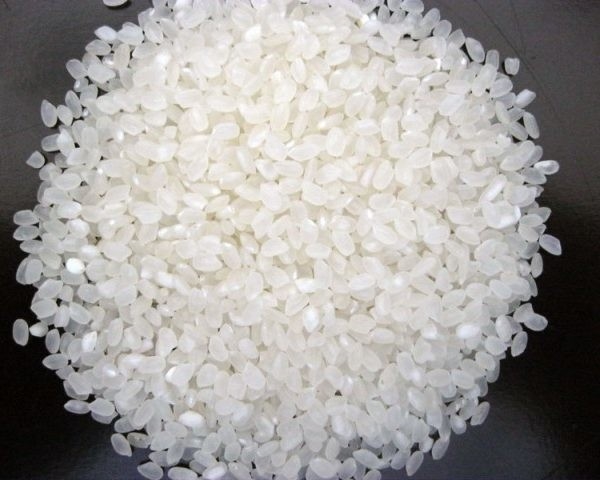Clasificador del color de las habas del maíz del arroz del grano del CCD LED de WENYAO Wholesale pequeño caliente en Ploland